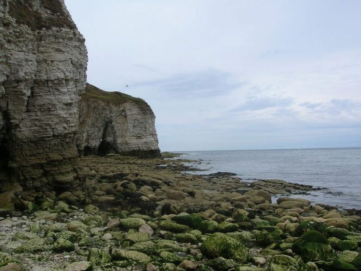 Cliffs at Flamborough Head, Flamborough, East Riding of Yorkshire, England. Photo: areadeandavid / CC BY 2.0