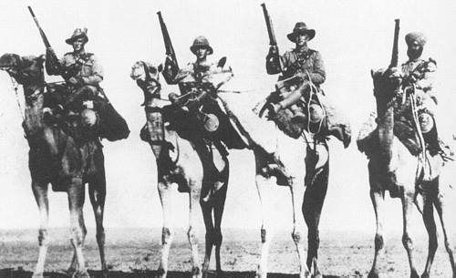 A posed photograph of Australian, British, New Zealand and Indian Camel Corps troopers