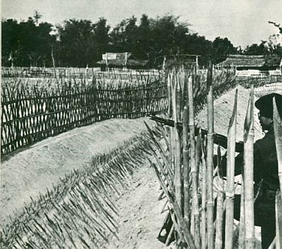 A strategic hamlet in South Vietnam c.1964 similar to the Wehrdörfer in the Soviet Union during WWII.