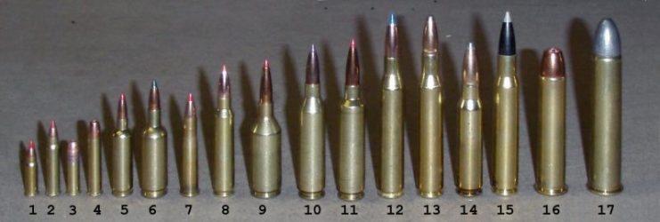 A variety of rifle cartridges.