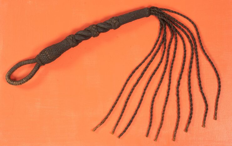 Cat o' nine tails against an orange backdrop