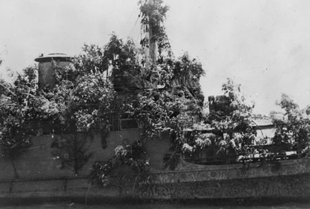 Close-up of the foliage used to camouflage the superstructure of the ship