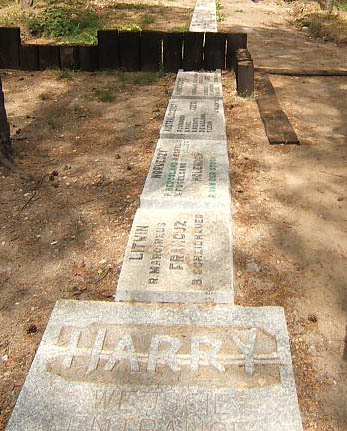 Entrance of “Harry” showing outline of building