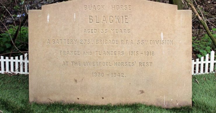 Grave of Blackie the Warhorse. Photo: Rodhullandemu Grave of Blackie the Warhorse