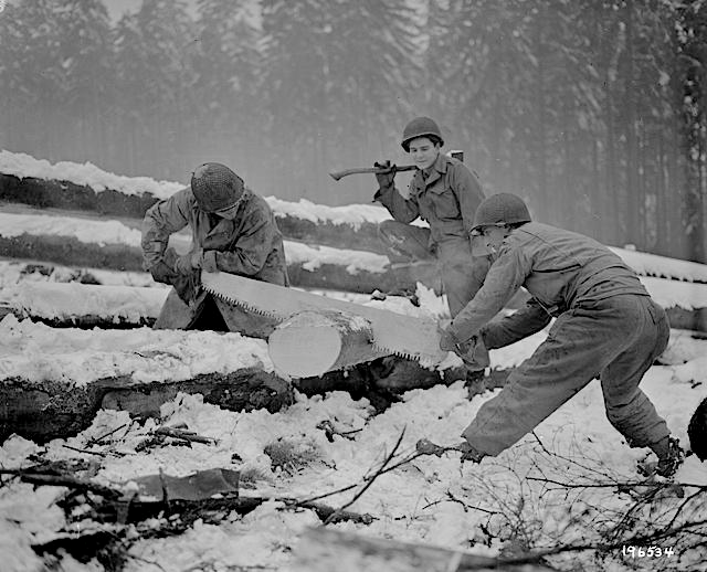 Americans cut wood. Hurtgen Forest 1944