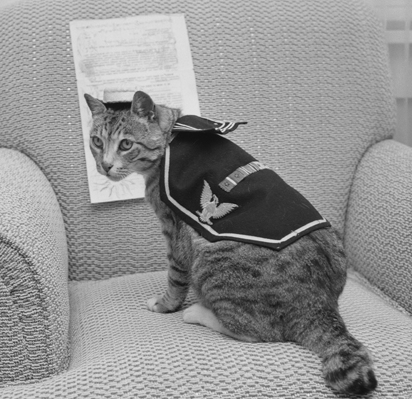 Pooli, cat who served aboard a United States attack transport during World War II celebrates 15th birthday.1959