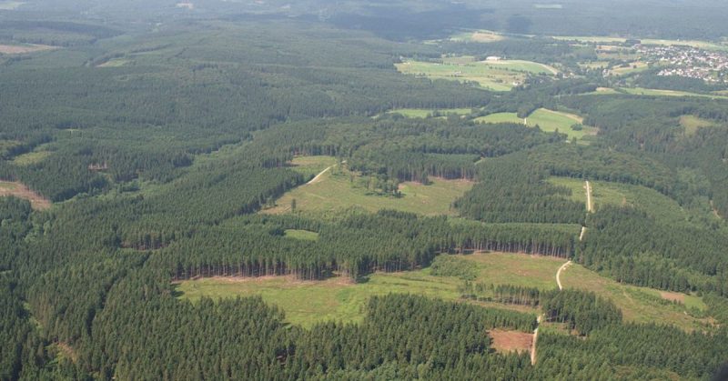 The Arnsberg forest.Photo: Teta CC BY-SA 3.0