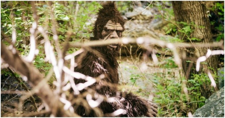 Rock Apes The Cryptids That Supposedly Once Plagued GI s War History 