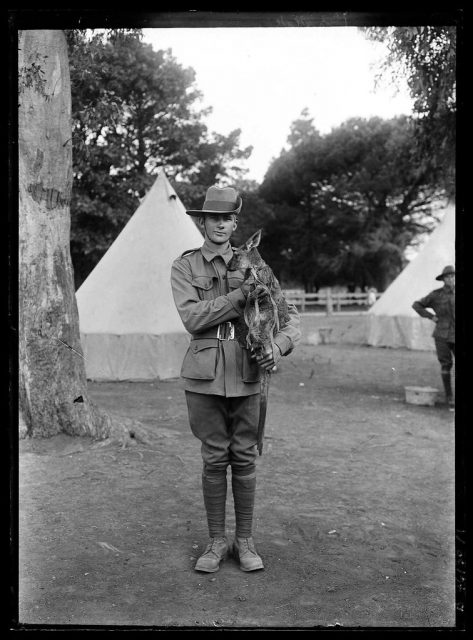 Private Harry Victor Turner, 16th Infantry Battalion at Morphettville 14 Sep 1914. Wounded in action at Gallipoli in 1915. Photo: State Library of South Australia CC BY 2.0
