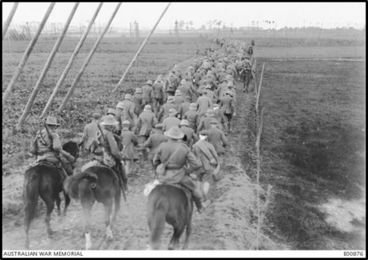 German P.O.Ws being escorted by Australian troops.