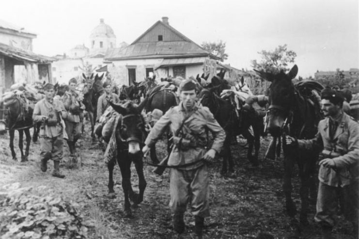 Italian soldiers in Russia, July 1942.Photo: Bundesarchiv, Bild 183-B27180 / Lachmann / CC-BY-SA 3.0