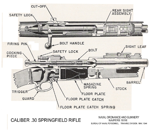 Diagram of the .30 Springfield Rifle