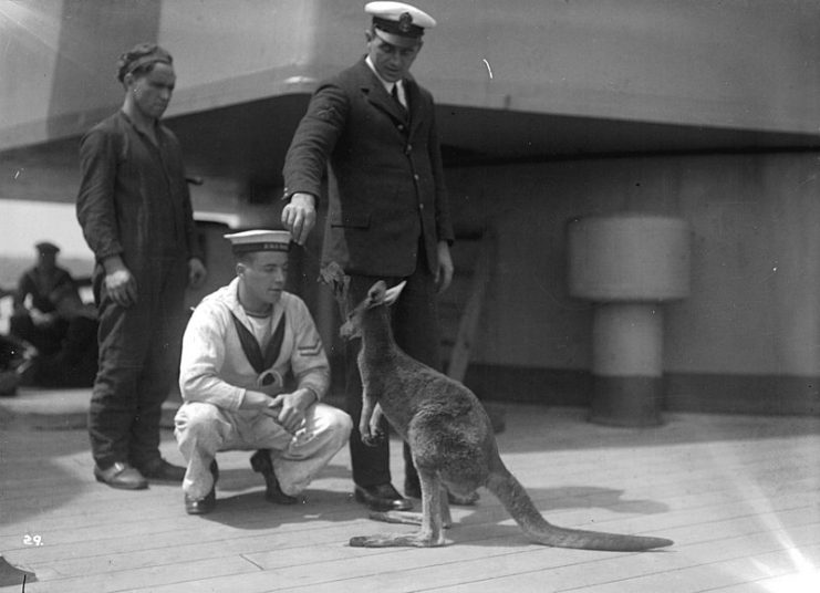 HMS Hood sailors with kangaroo mascot at Vancouver.