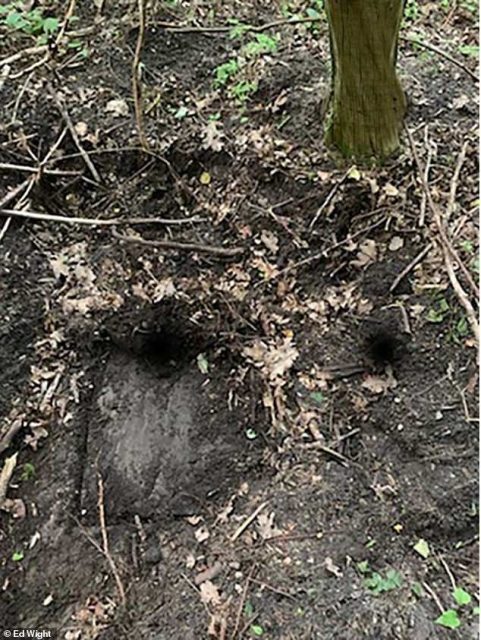 Treasure hunters in Poland believe this hatch could lead to the Amber Room. Credit Ed Wight