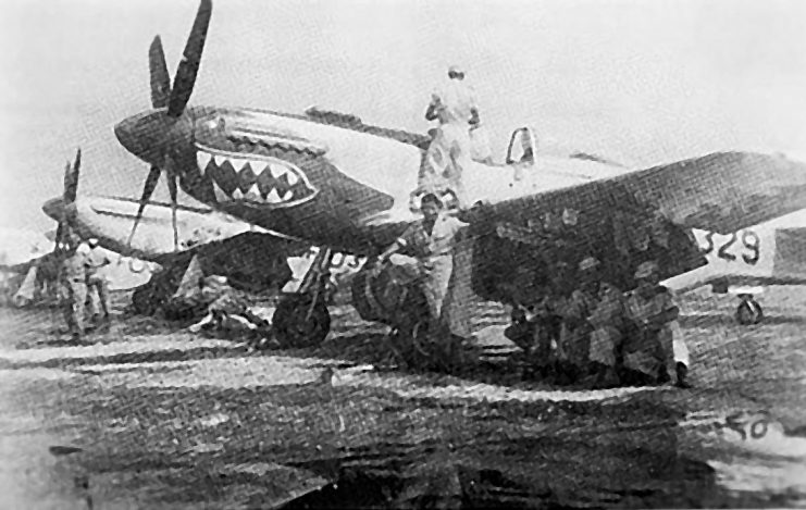 Photo above shows a row of Indonesian Air Force AURI P-51D Mustangs by the mid-1950s. Mechanics galore and time left for painting a Shark Mouth Nose Art. But with their lack of spare parts, enforced by CIA, the serviceability of the Fighters had become a nightmare. While Pope popped up as a Mary Poppins in the Sky almost every day, it took the Indonesian AF weeks before they were able to intercept that Sting Bee who had challenged and damaged the defensive capacity of the Air Force so hard.