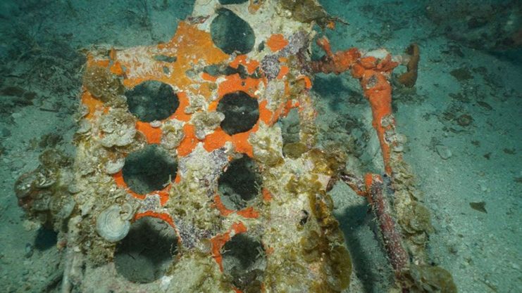 The punched holes of the split-panel dive brakes from an SBD-5 Dauntless. © University of Delaware/www.projectrecover.org