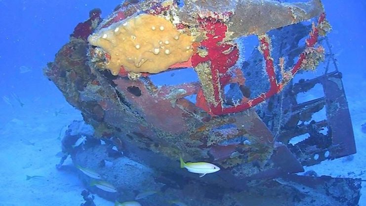 Tail section from an SBD-5 Dauntless . ©University of Delaware/www.projectrecover.org Truk Lagoon