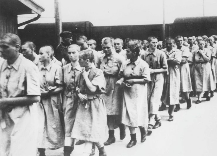 A photo of women deemed fit for work, taken in May 1944 in the Auschwitz-Birkenau extermination camp, in Oswiecim, after the camp absorption process. AFP via Getty Images.