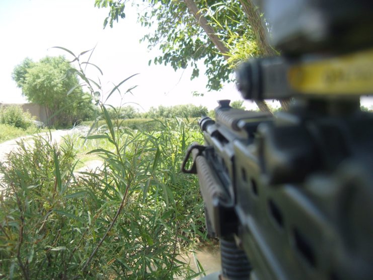 A look from the shade at the baking surroundings.