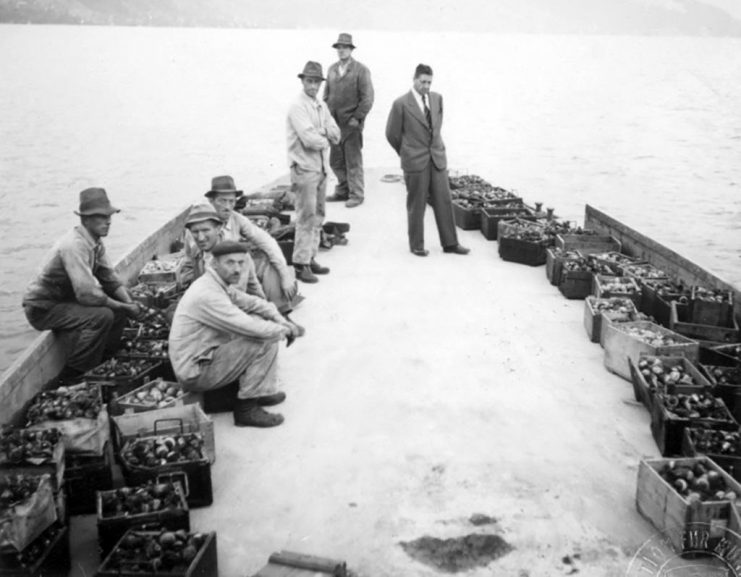 Boats laden with explosives ready to be dumped into Lake Thun (1948/1949) Credit: www.vbs.admin.ch