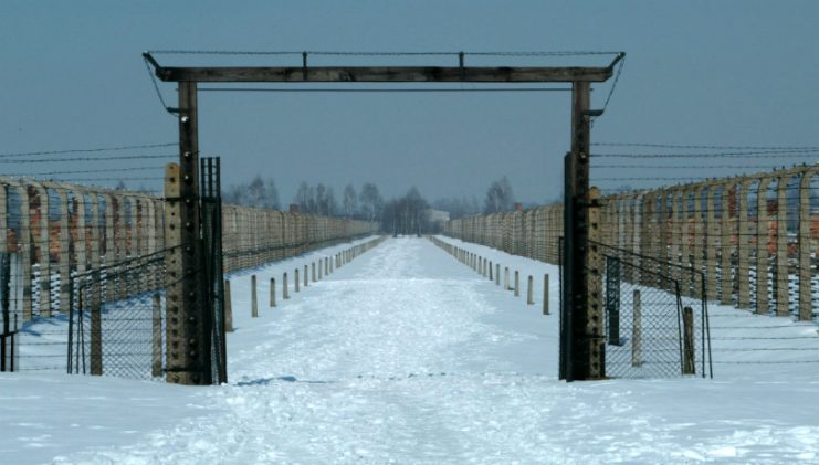 Gate in Auschwitz II-Birkenau. Gigatel Cyf CC BY 3.0