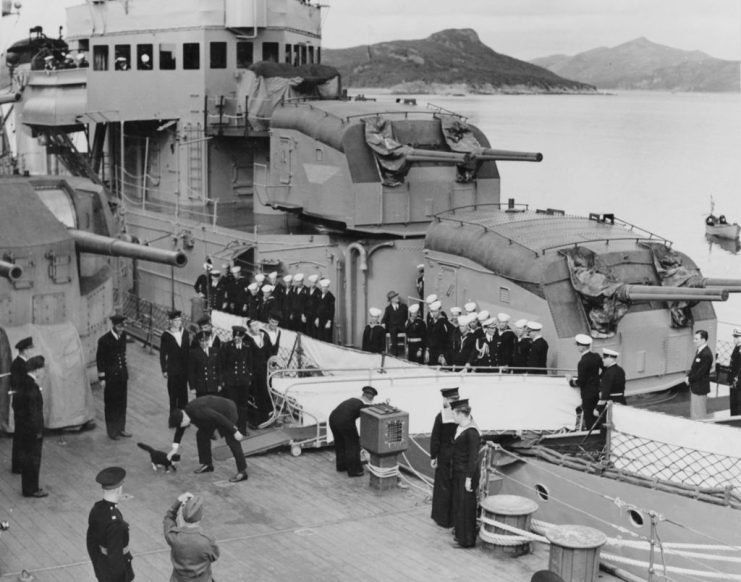 British Prime Minister Churchill stroking a cat named Blackie on the deck of the English battleship HMS Prince of Wales as the ship’s crew, along the crew of the USS McDougall (DD-358) anchored alongside, watch him, England, August 10, 1941. (Photo by Buyenlarge/Getty Images)