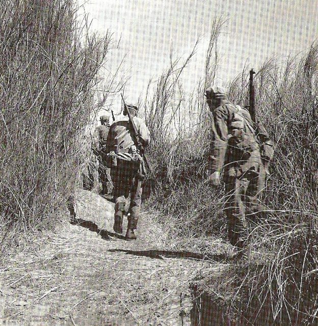 U.S. Rangers behind Japanese lines on their way to rescue prisoners from the Cabanatuan Prison Camp in the Philippines.