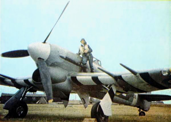 Rare wartime colour photograph of Typhoon JP736 No 175 Squadron at RAF Westhampnett, autumn 1943, showing the black and white identification stripes under the wings