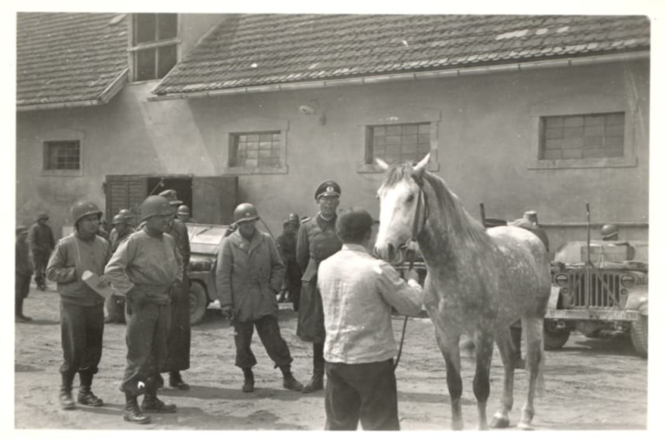 A horse among those captured by Nazis is inspected by American Colonel Hank Reed at the stables in Hostau at the end of April 1945. Patton Museum