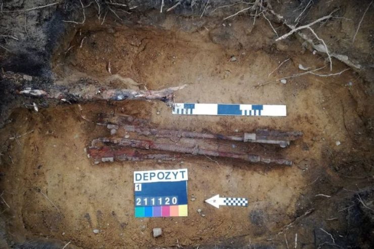 The were a dozen weapons found in the dig. Image by Krzysztof Socha Stowarzyszenie/Eksploracji Perkun