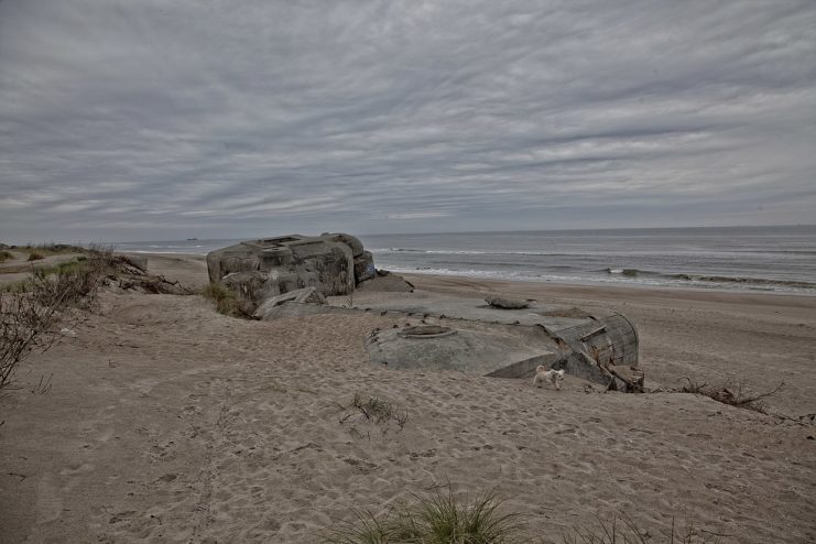 A Bunker wreck in Denmark, Holmsland Klit, seaside.