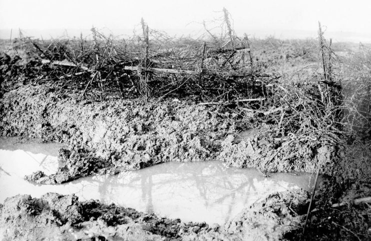 Barbed wire at Beaumont Hamel