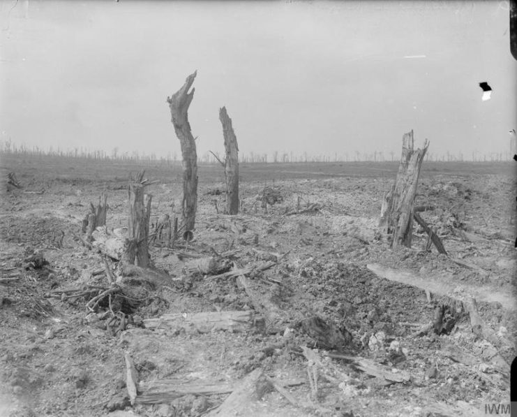 Battle of Guillemont. 3-6 September 1916. Site of Guillemont.