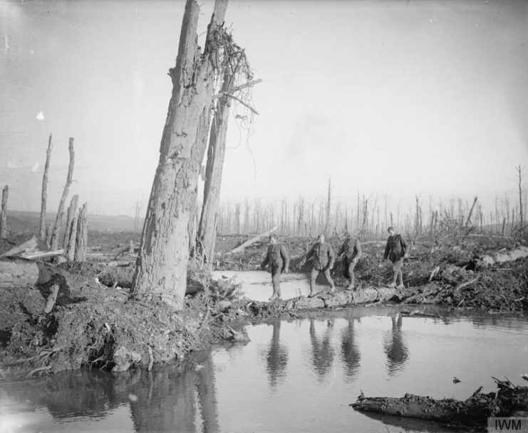 British soldiers on the improvised bridge (a fallen tree-trunk) across the Ancre, November 1916.
