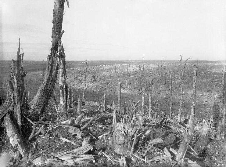 General view of the battlefield of Beaumont Hamel showing the blasted land