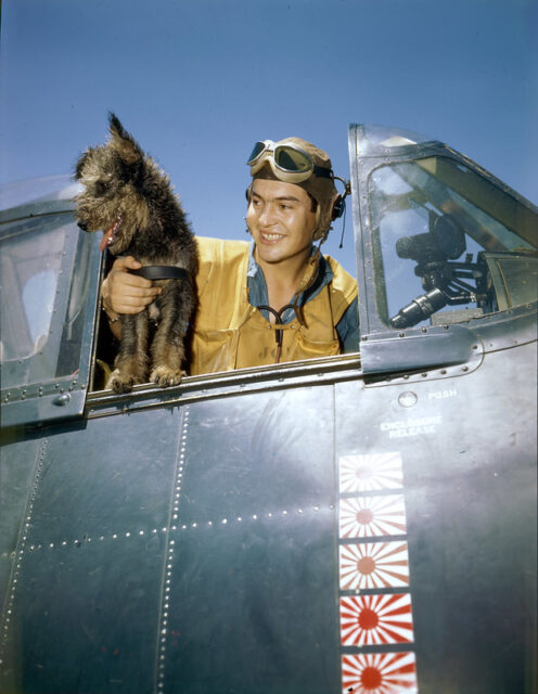 ARM3C Robert L. Brown sitting in the cockpit of a Grumman F6F Hellcat with a dog