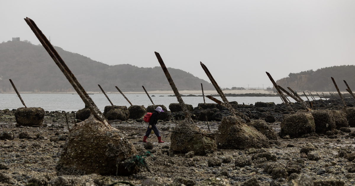 Dragon's teeth fortifications in South Korea. (Photo Credit: SeongJoon Cho/Bloomberg via Getty Images)