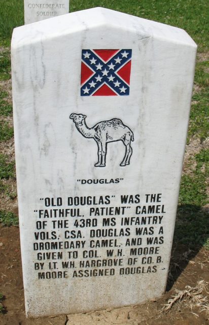 Grave marker for Douglas the Camel 