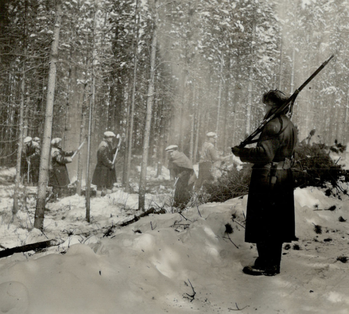 "Enemy aliens" at Camp Kananaskis, cutting wood in the forest under armed supervision.