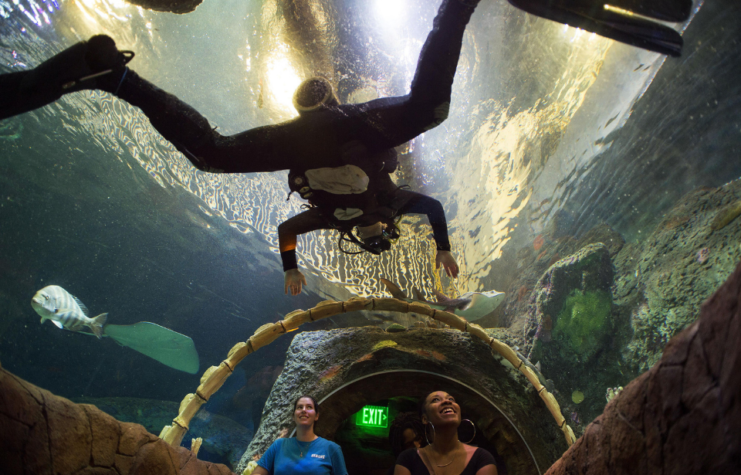 Navy Senior Chief Petty Officer Roy Vanek interacts with visitors and a staff member at the Kansas City Sea Life Aquarium during Kansas City Navy Week in Kansas City, Mo., Aug. 21, 2015.