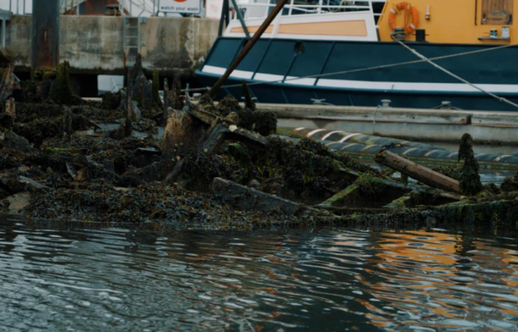 Rotting LCT in harbor