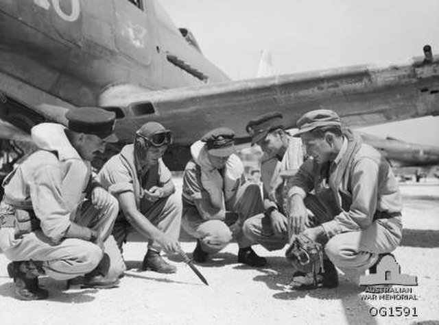 Royal Australian Air Force pilots crouching beside an aircraft