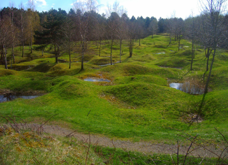 Verdun battlefield in 2005