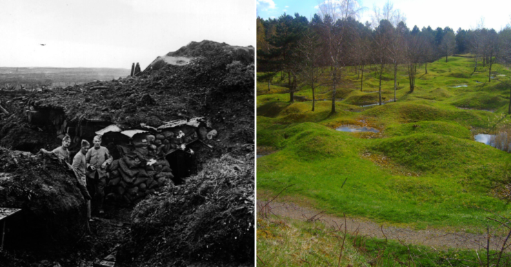 Soldiers standing in a trench + Grassy area with trees