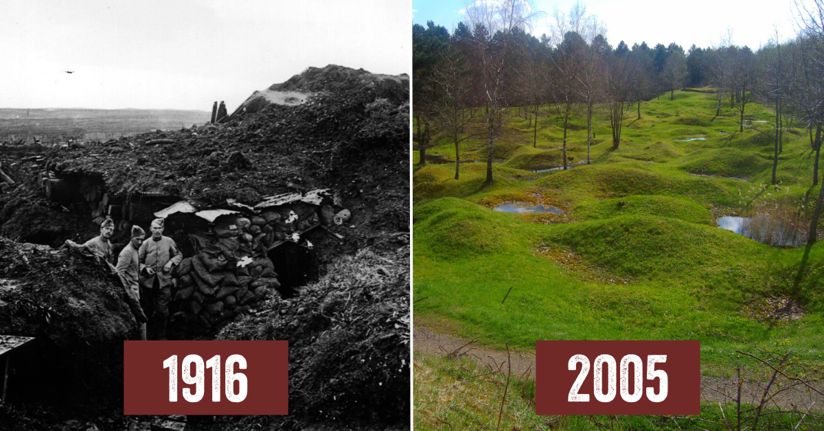 World war one trenches today