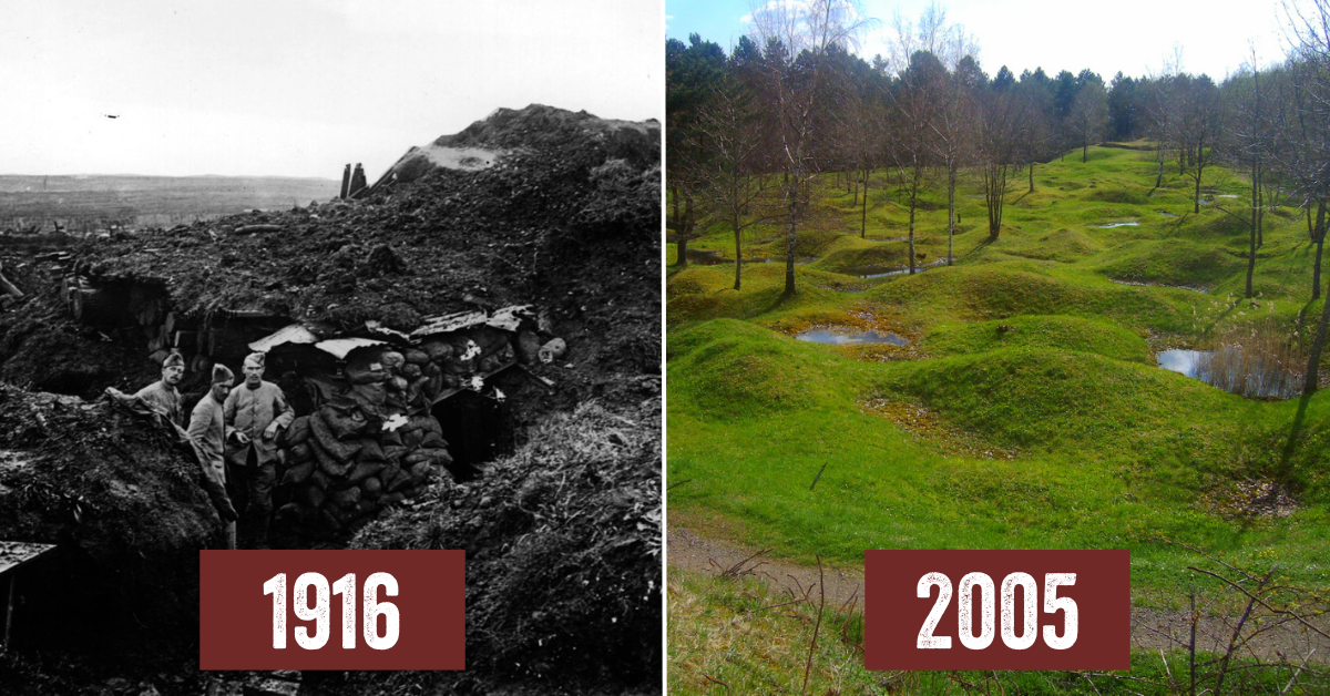 World War One Trenches Today