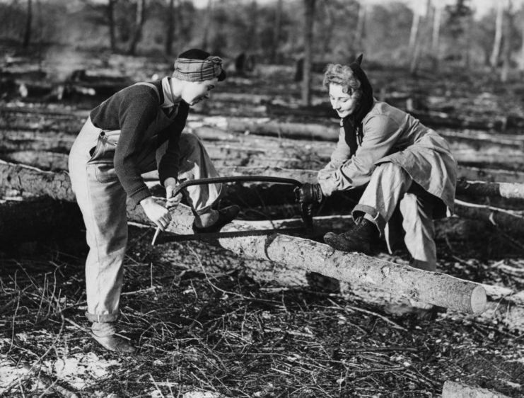 Two members of the Women's Timber Corps using a handsaw to cut a log