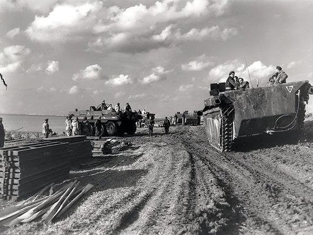 Alligator amphibious vehicles driving past Terrepin amphibious vehicles on the beach