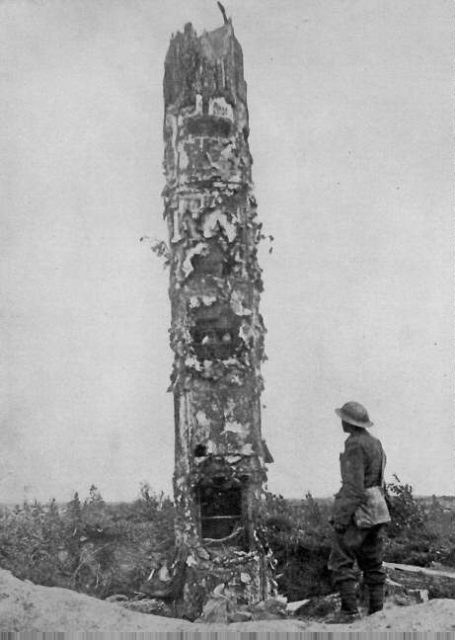Photo of a spy tree during the Great War. Image index and source., PWD-US