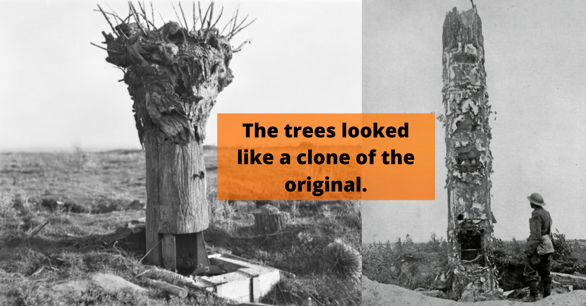 Fake Spy Trees and their use in No Man's Land War History Online